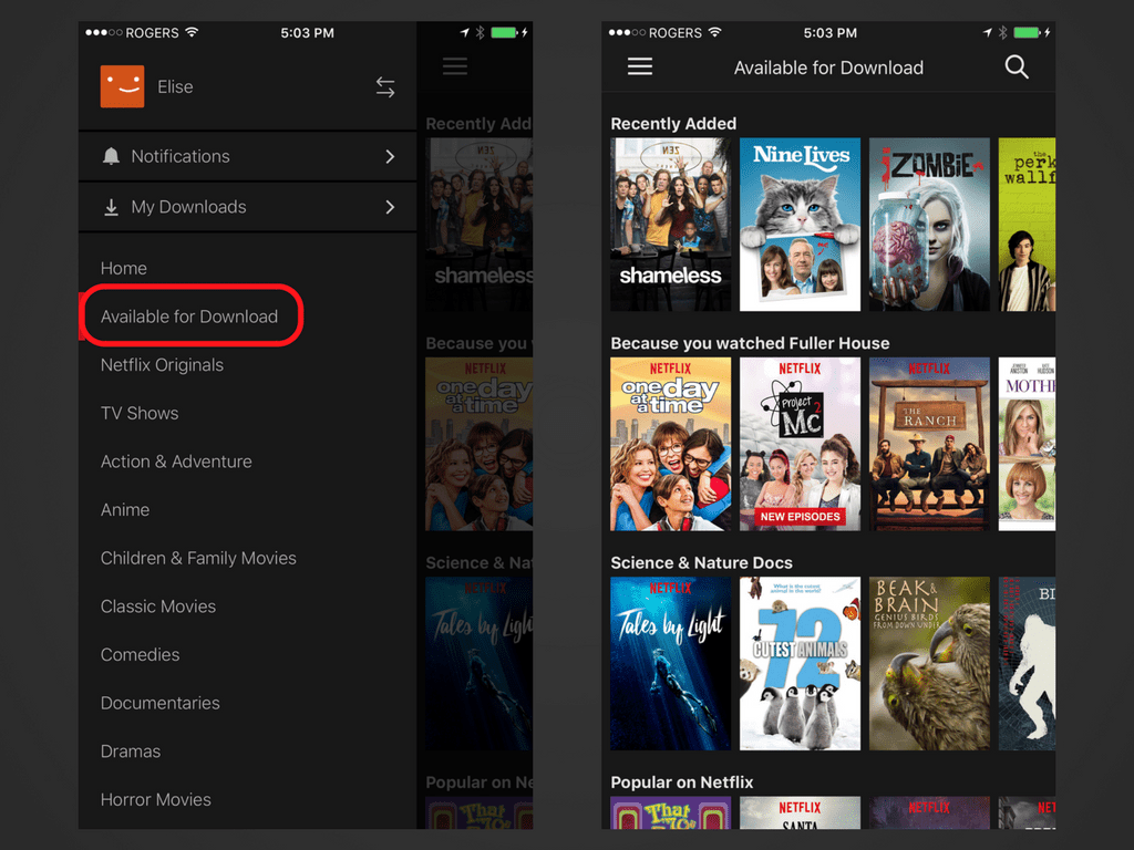 How to download netflix movies